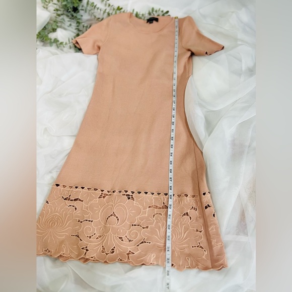 Ann Taylor Knit Dusty Pink Embroidered Floral Hem Midi Dress Size Extra Small - Picture 7 of 9